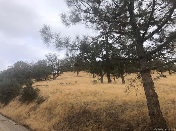 Tehachapi Land For Sale