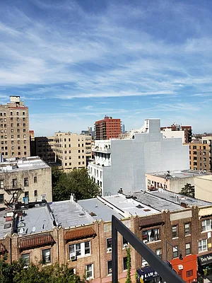 Rented by NY Living Solutions | media 20