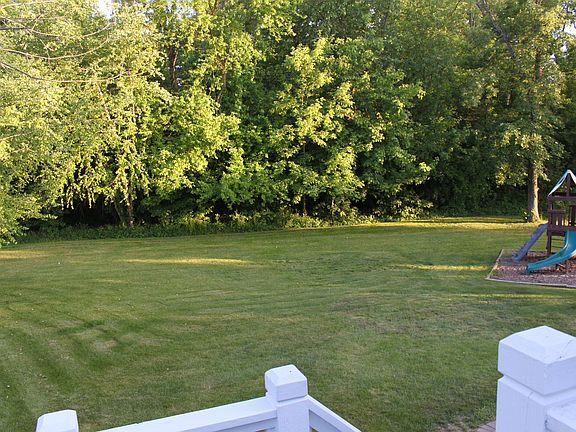 Back yard