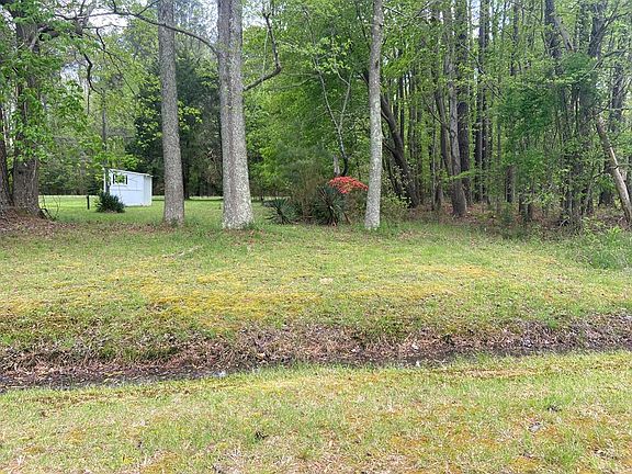 4th image of 166 Elmington Pl