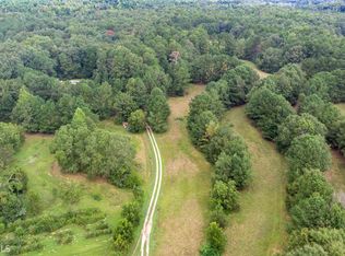 493 Coan Dr, Locust Grove, GA 30248