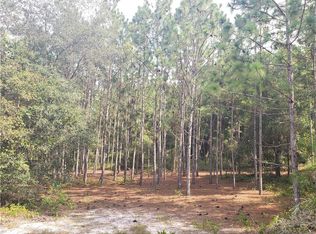 Goose Prairie Rd, Leesburg, FL 34788