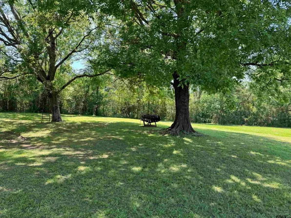 20370 State Highway 135, Troup, TX 75789