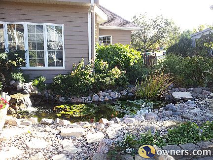 pond in back yard by house