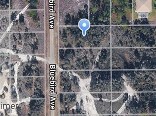 717 Bluebird AVE, LEHIGH ACRES, FL 33974