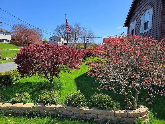 Frontyard Spring1
