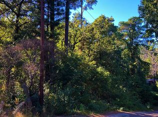 LOT 555 Forest Hill Dr, Frankston, TX 75763