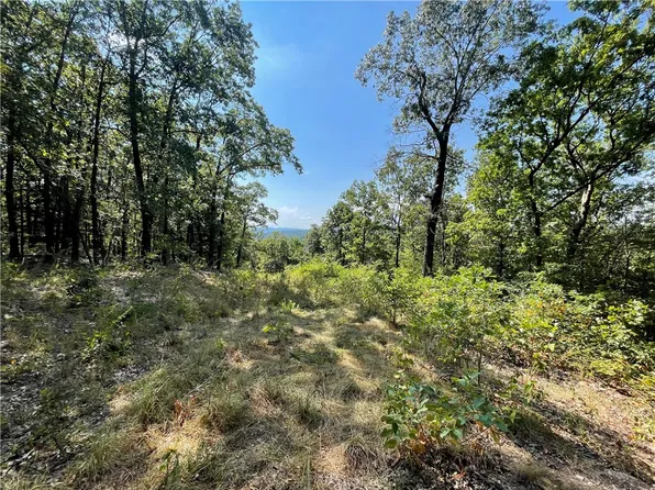 0 Nc Rd #4200, Western Grove, AR 72685