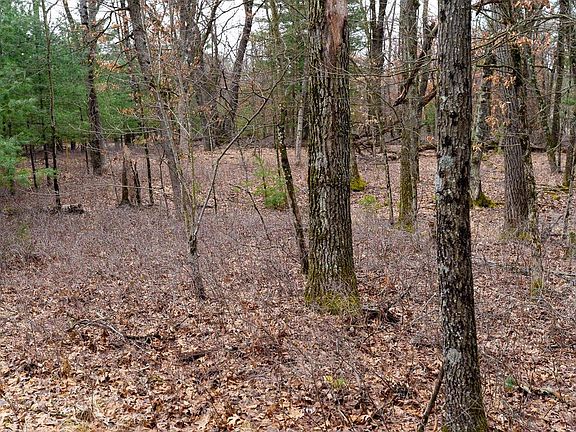 5th image of Lot 1 14 Ac Dover Drive