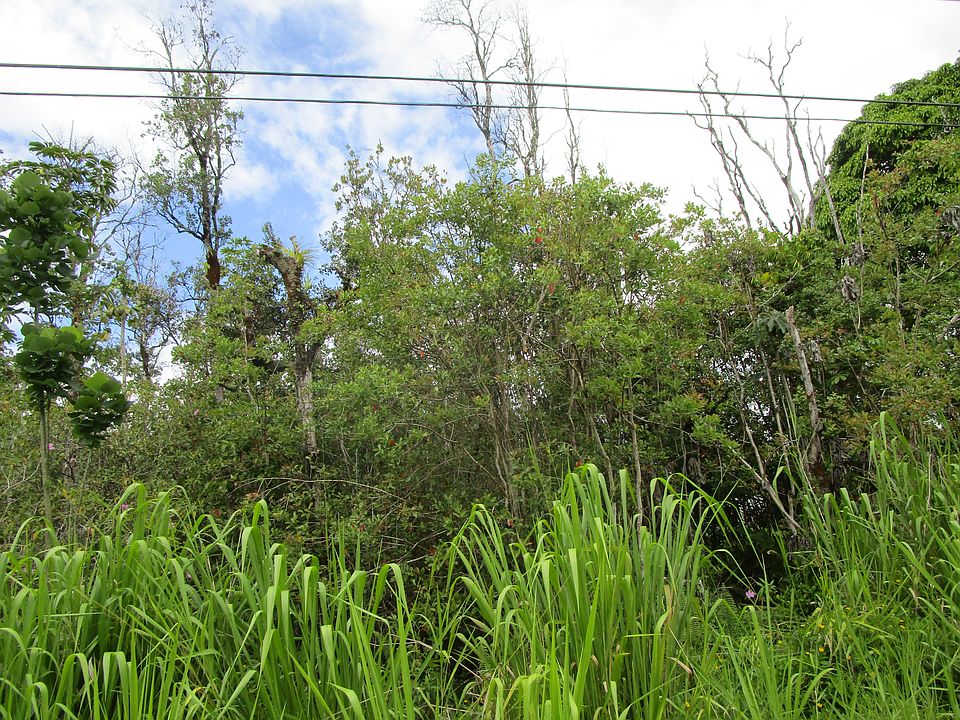 1st image of 31st Ave Lot 288