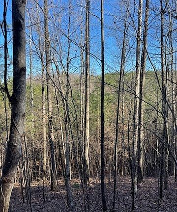 4th image of 246 Rock Creek Rd Lot 6