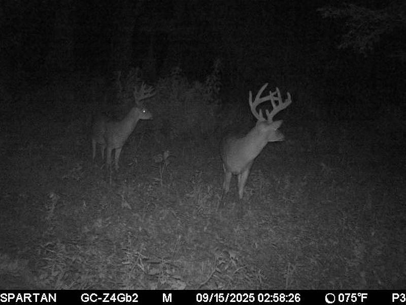 1st image of 3225 Loop Rd