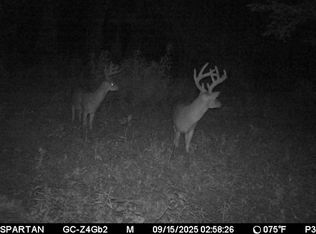 3225 Loop Rd, Marvell, AR 72366