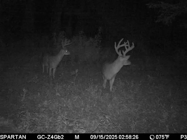 3225 Loop Rd, Marvell, AR 72366