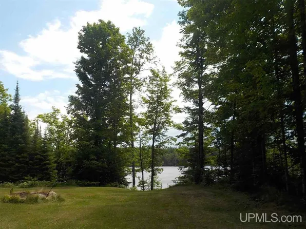 Davis Rd, Crystal Falls, MI 49920