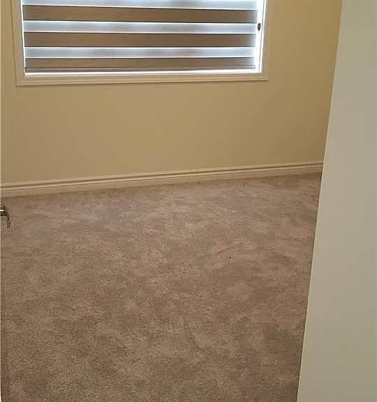 200 Lagerfeld Dr — Photo 4