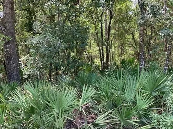 15820 WILSON PARRISH ROAD, UMATILLA, FL 32784