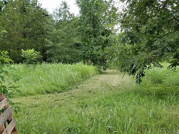2nd image of 0 River Dr