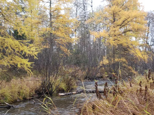 4832 Walsh Rd, Lewiston, MI 49756