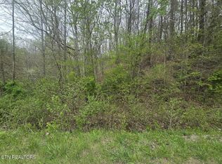 Paint Rock Rd, Oneida, TN 37841