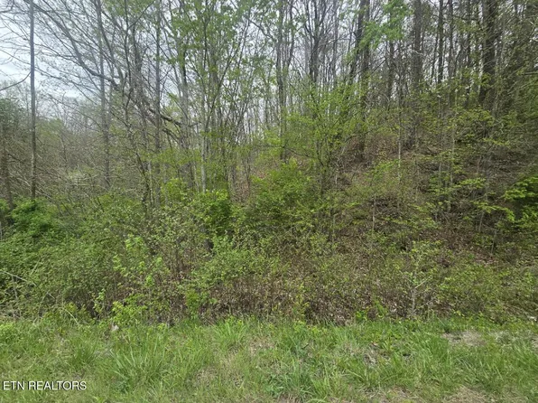 Paint Rock Rd, Oneida, TN 37841