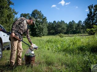 87 Buds Rd, Stephens, GA 30667