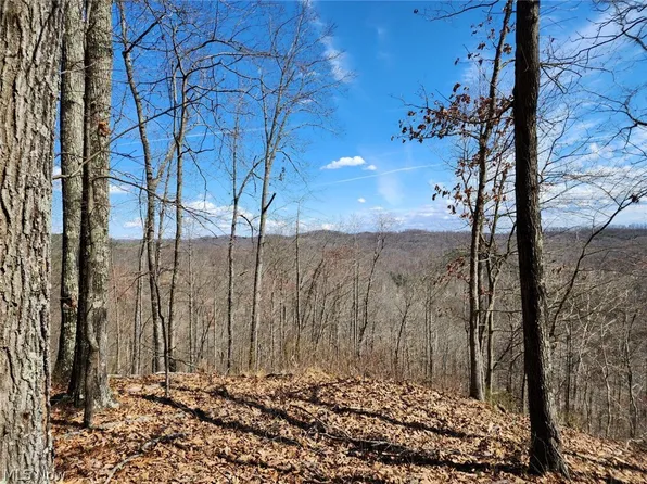 Progress Ridge Rd, Walker, WV 26180