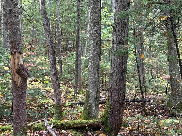 New Hampshire Route 25, Warren, NH 03279