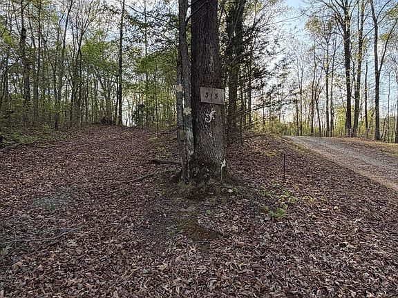 3rd image of 0 Henry Rd