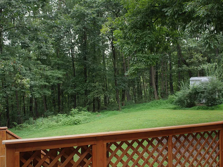 backyard views