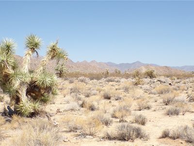 11814 S Dateland Rd, Yucca, AZ, 86438