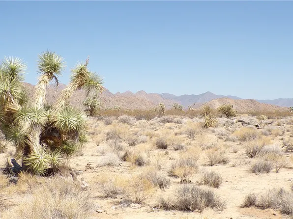 11814 S Dateland Rd, Yucca, AZ 86438