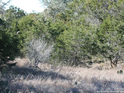 TBD LOT 78 COUNTY ROAD 2720 LOT 78, Mico, TX, 78056