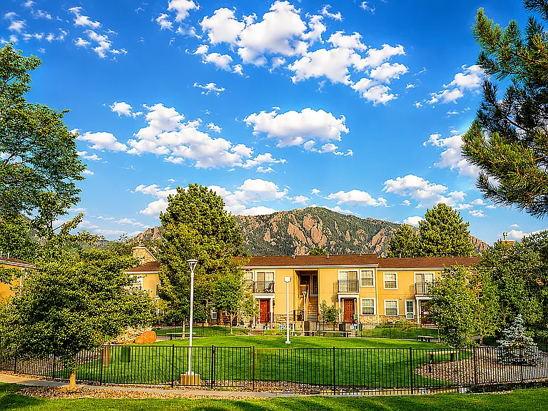 Expansive Resident Dog Park