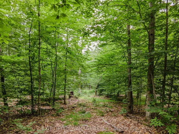 0 Peplinskie Rd, Madawaska Valley, ON K0J 1L0