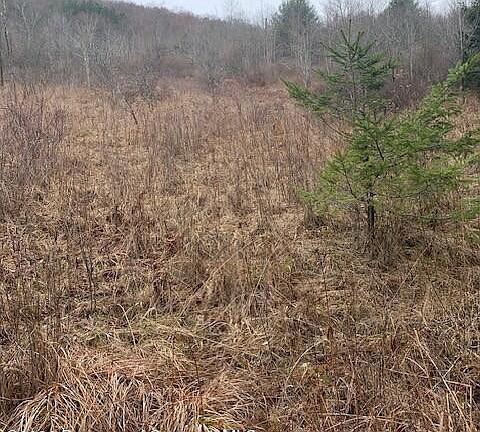 3rd image of Jackson Valley Rd