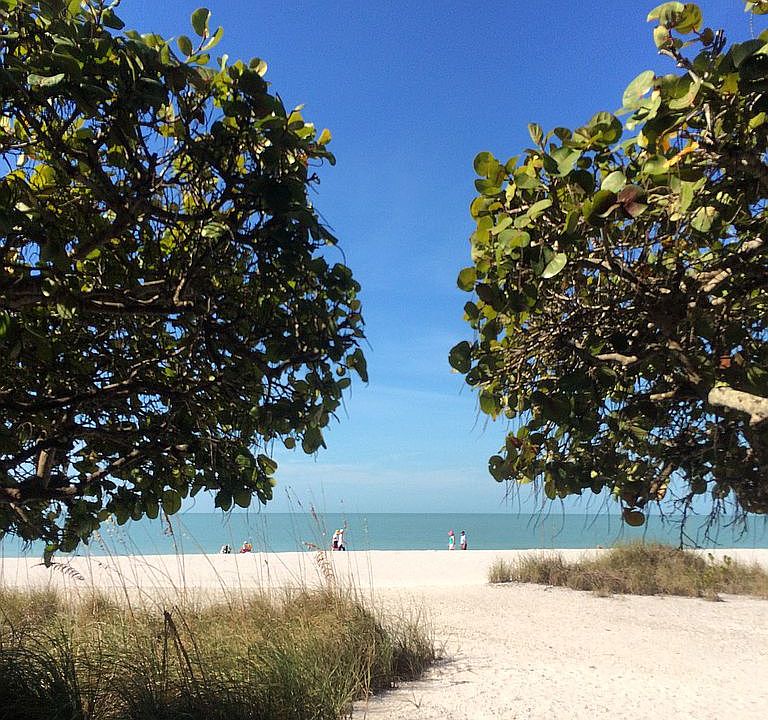 26236 Hickory Blvd APT 7, Bonita Springs, FL 34134 Zillow