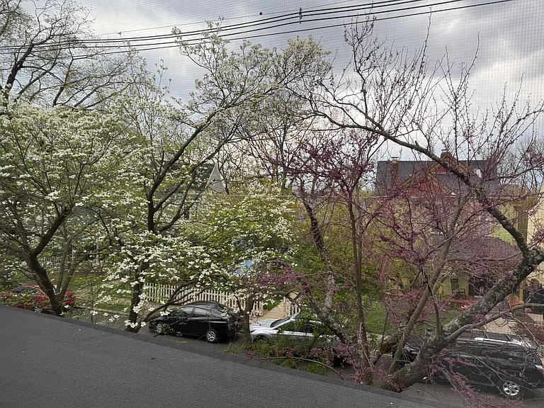 123 Waverly Ct #2 — Photo 14