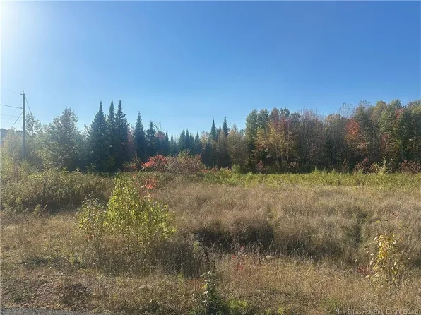 1 Crain Ct Lot 14, Woodstock, NB E7N 0B1
