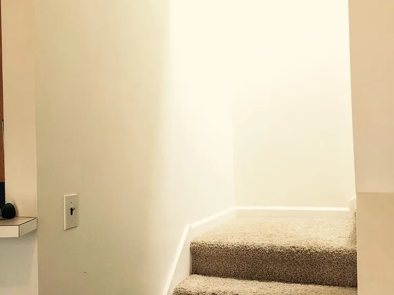 Carpeted stairs from the ground floor to the upstairs.