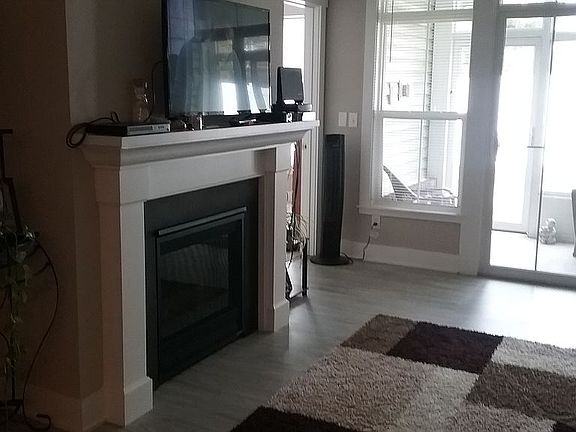 Living Room Fireplace
