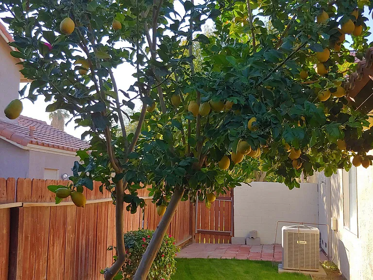 45688 Sutter Creek Way — Photo 21
