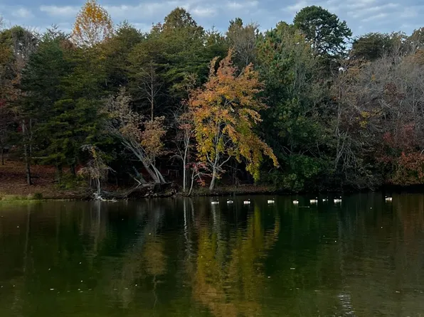 LOT 45 Pin Hook Rd, Spring City, TN 37381