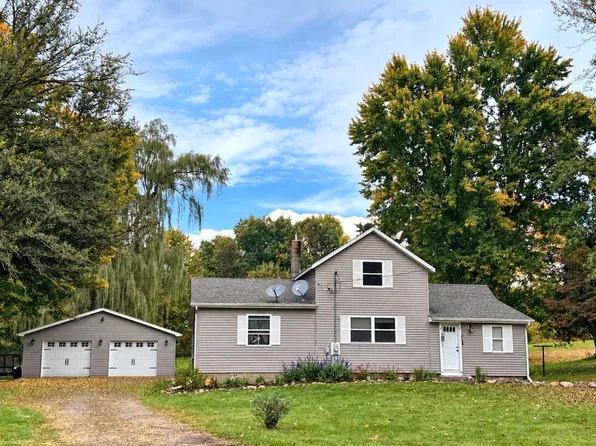 21753 T Dr S, Homer, MI 49245