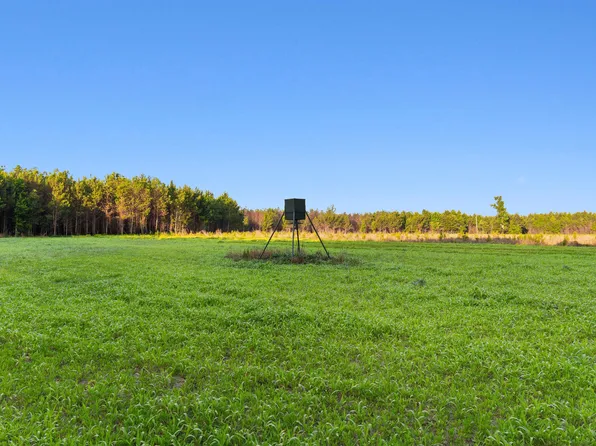 77 Acres - TBD Bert Hanna Rd. #Old Farm Rd, Johnsonville, SC 29555