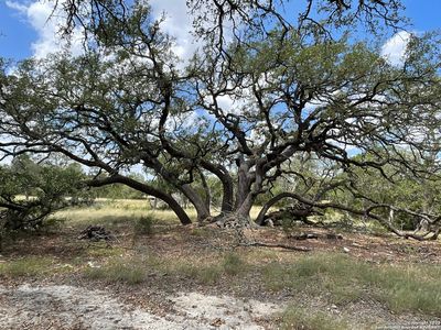 34810 Last Stage Way LOT 69/70, Bulverde, TX, 78163