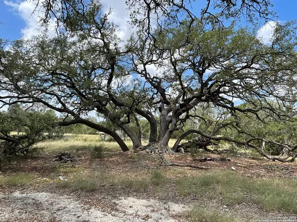 34810 Last Stage Way LOT 69/70, Bulverde, TX 78163