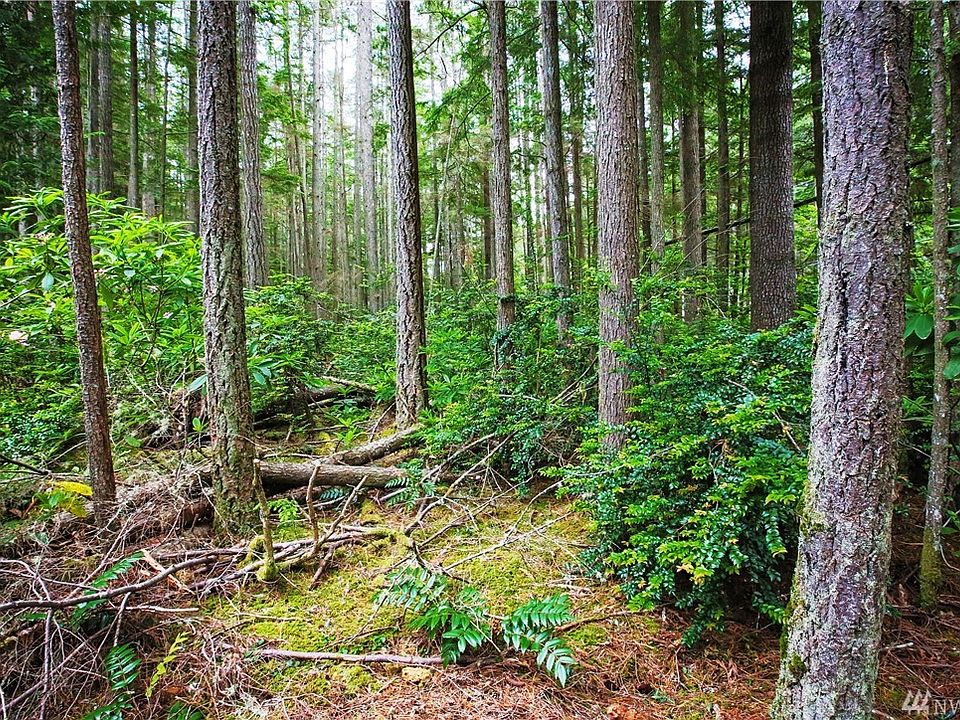 Gorgeous wooded property