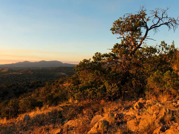 105 S Wild Primrose Rd, Placitas, NM 87043