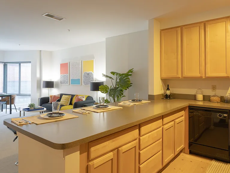 Symphony Center Apartments — Photo 6